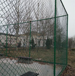 籃球場圍欄供應 阿拉善盟籃球場圍欄 東川絲網 查看